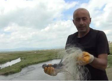 Kars'ta ağa takılan yavru karga kurtarıldı - Resim: 8